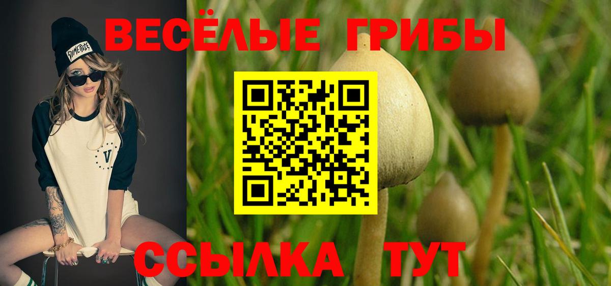 Чусовой  Галлюциногенные грибы прущие грибы  Вход с VPN 